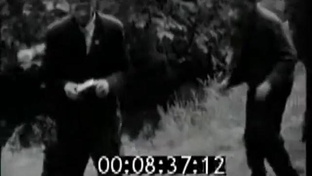 1973. "Золотой мопед". смотреть онлайн