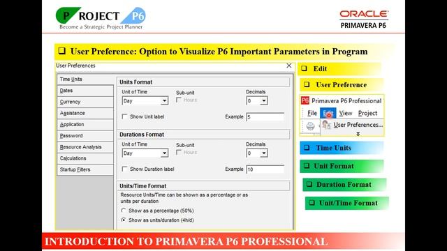 INTRODUCTION TO PRIMAVERA P6 смотреть онлайн