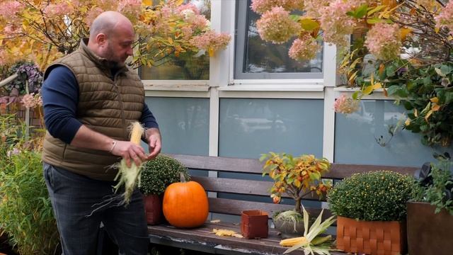 Осенние декорации в моем саду. смотреть онлайн