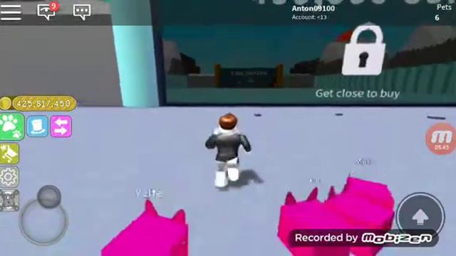 Играть симулятор питомцев зашёл первый раз груза Нуба и стал очень крутым