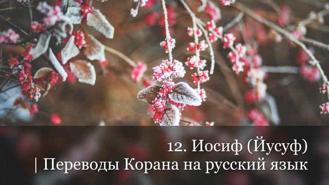 12. Иосиф (Йусуф) | Переводы Корана на русский язык смотреть онлайн