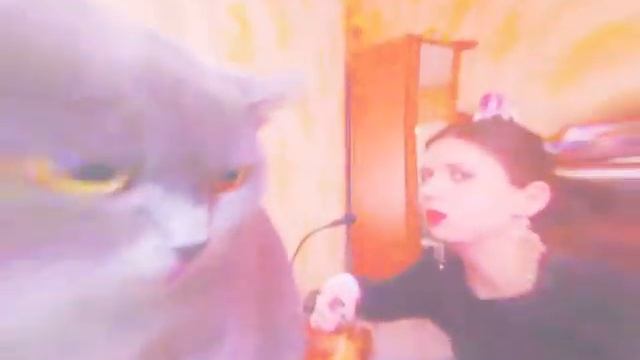Начало сказки об Альмине Лебедевой смотреть онлайн