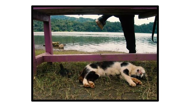 Waduk Sermo | Nikon Coolpix 5600 смотреть онлайн