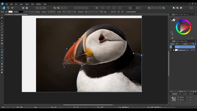 CROP SHAPES IN AFFINITY DESIGNER | CUT OUT SHAPES смотреть онлайн