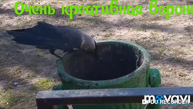 Очень Креативная Ворона\2% Йогурт и Чугунная Мусорка времен СССР Беларусь смотреть онлайн