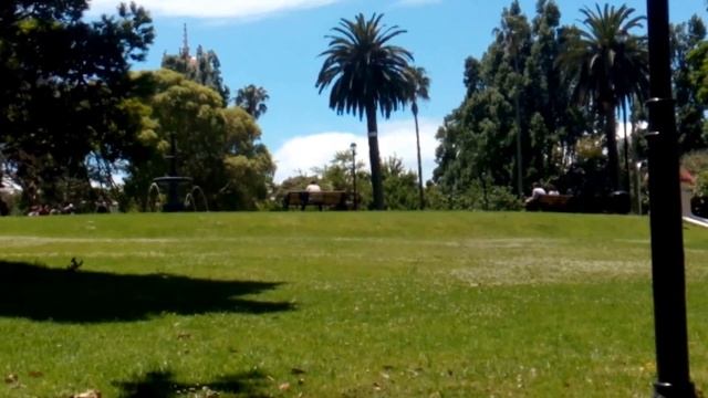 Альберт парк смотреть онлайн