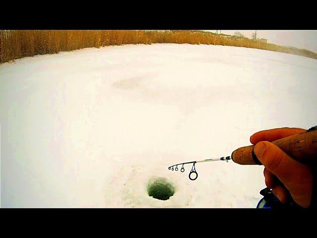 Таких я ещё здесь не видел !!! Рыбалка в Десяти Шагах от ДОМА! ЗИМНЯЯ РЫБАЛКА на Балансир Rapala смотреть онлайн