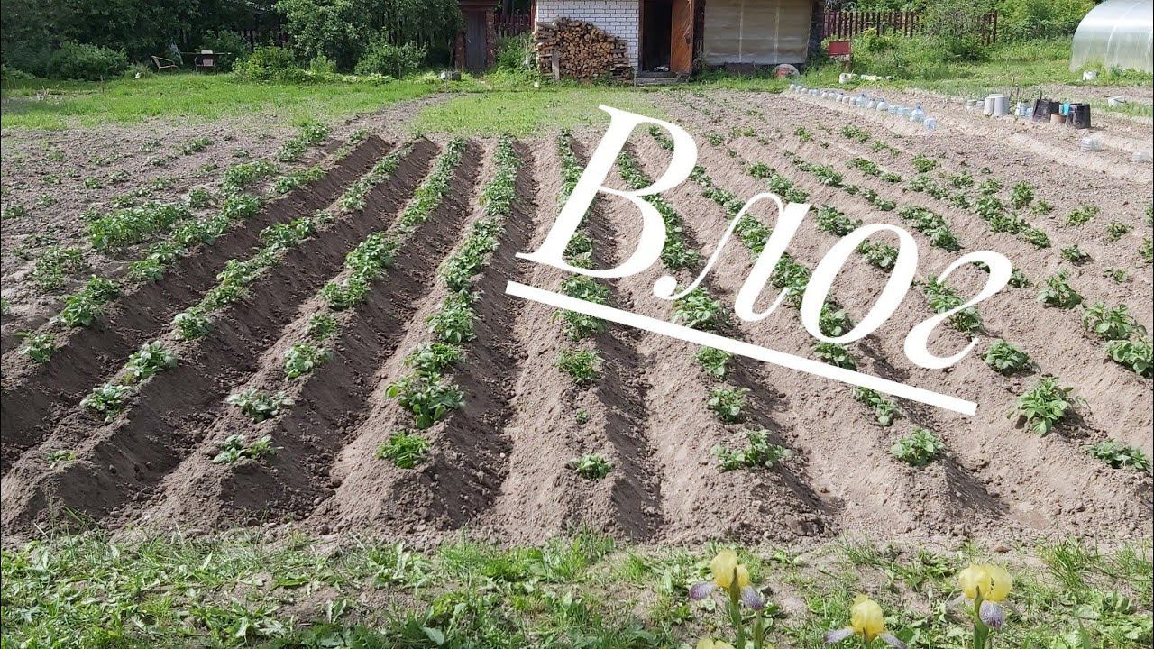 Влог невязальный. смотреть онлайн