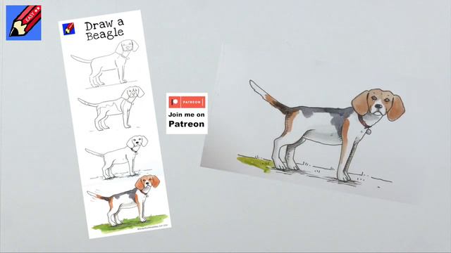 Draw a Beagle Real Easy смотреть онлайн