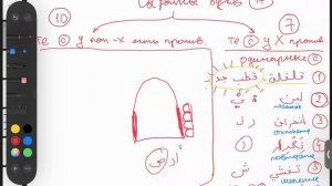 Сыфаты арабских букв (17 атрибутов вкратце)