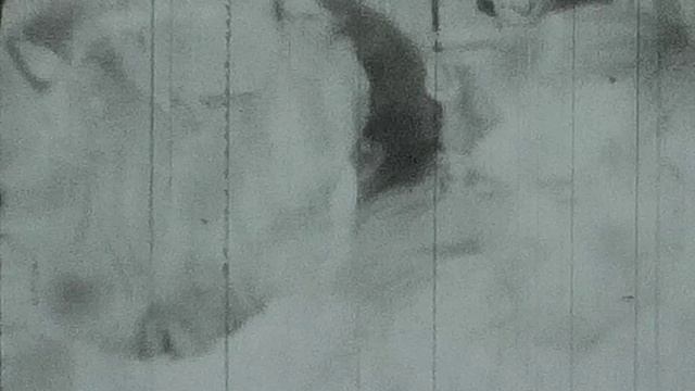 0027.MP4 смотреть онлайн