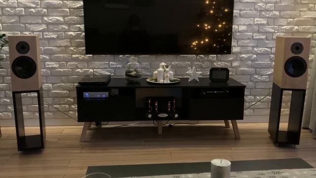 Pylon Diamond Monitor + Fezz Audio Silver Luna + Musical Fidelity MX-DAC [2] смотреть онлайн