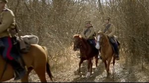 Над лесом солнце воссияло