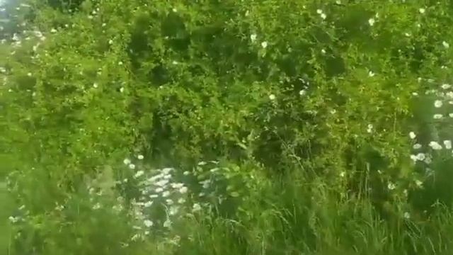 Неожиданная встреча с другом мужа. смотреть онлайн