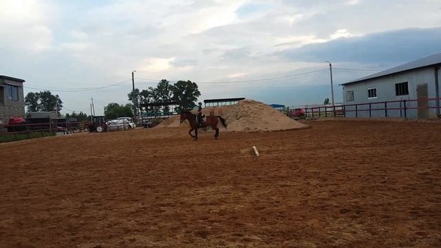 Конный спорт, обучение детей. Продажа лошадей. смотреть онлайн