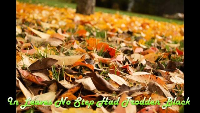 The Road NOT Taken смотреть онлайн