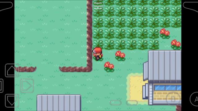 defeating gym leader Erica/#011 смотреть онлайн