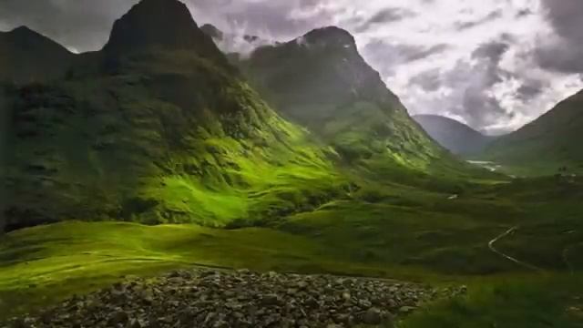 CHRIS REA смотреть онлайн