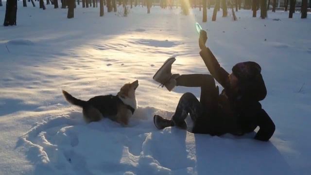 Вольт от ступни смотреть онлайн