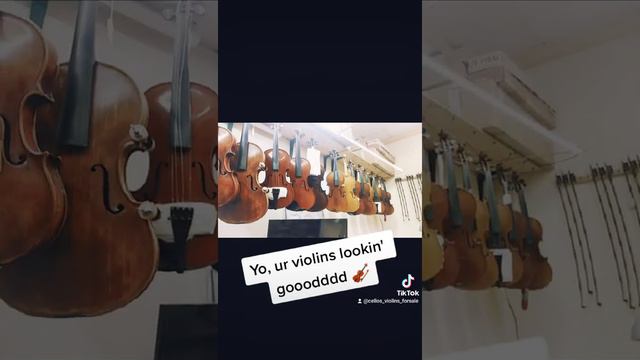Invest in a good Luthier #spain #violin #cello смотреть онлайн