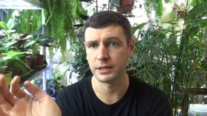 Табернемонтана / Укоренение/ Формирование/ Уход