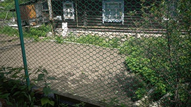 Садим малину впервые на маленьком участке. Ошибка №1 смотреть онлайн