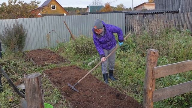 ПРИВОЖУ ЗАПУЩЕННЫЙ ОГОРОД В ПОРЯДОК⚡ ПОСАДКА ЧЕСНОКА ПОД ЗИМУ⚡ТАКОЙ КОЗЫ НЕТ НИ У КОГО смотреть онлайн