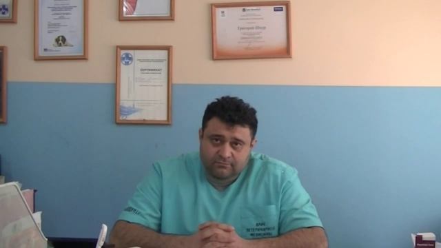 Ветлечебница Могилев | Какие витамины следует давать домашним животным? смотреть онлайн