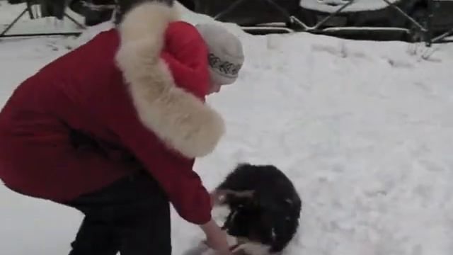 сокольники смотреть онлайн