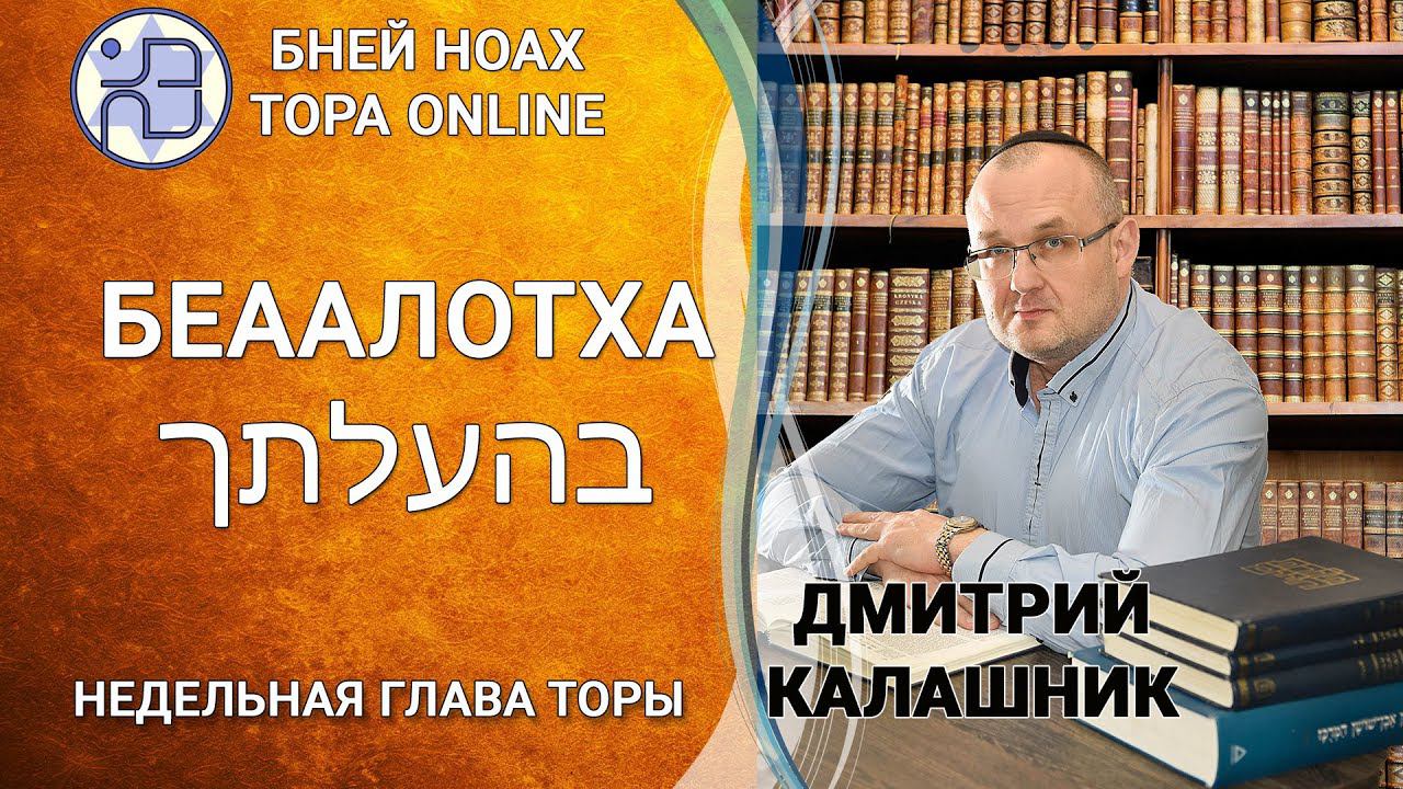 Недельная глава БЕААЛОТХА (בְּהַעֲלֹתְךָ) || Дмитрий Калашник || 5782 смотреть онлайн