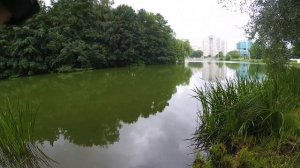 Как ПРАВИЛЬНО намотать плетенку на мультипликаторную катушку!