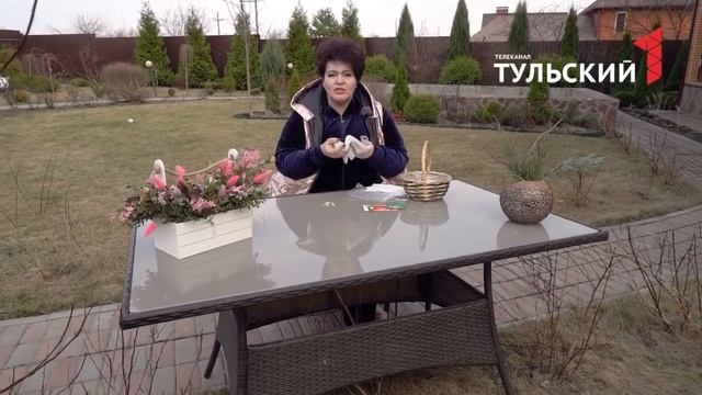 САЖАЕМ РАССАДУ И РЕАНИМИРУЕМ ТУИ. Все это в новом выпуске проекта "На дачу к Ирине Цветаевой" смотреть онлайн