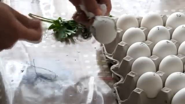 Готовим вместе с детьми