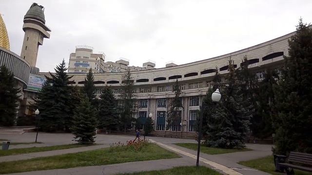Голубая ель в Алматы! смотреть онлайн