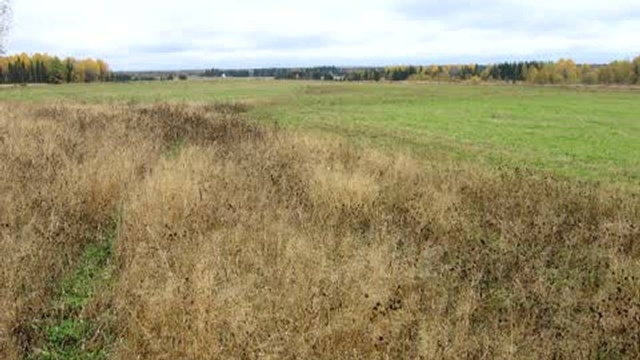 времена года