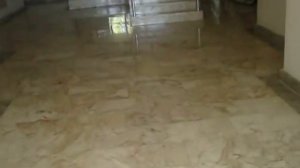 день 5 Наш корпус Mimosa Garden House.Турция, отель Bellis