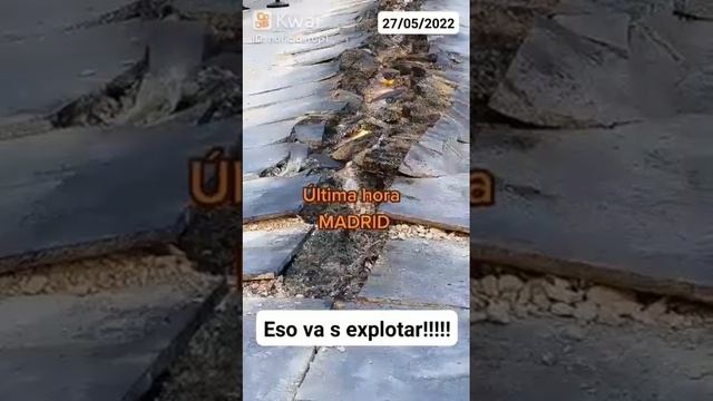 Странный разлом в центре Мадрида смотреть онлайн