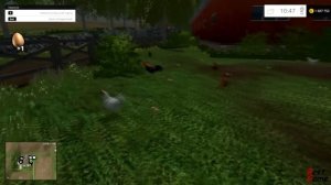 Farming Simulator 15 - Овцы и куры