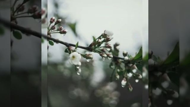 Nurettin Rençber - Var Git Yoluna.. смотреть онлайн