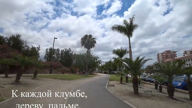 Ласточҡи Парки Флора Тенерифе Flora Tenerife смотреть онлайн