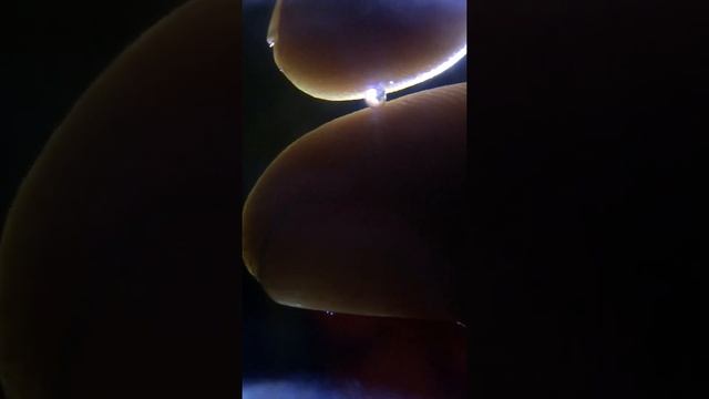 Женское здоровье и фитнес