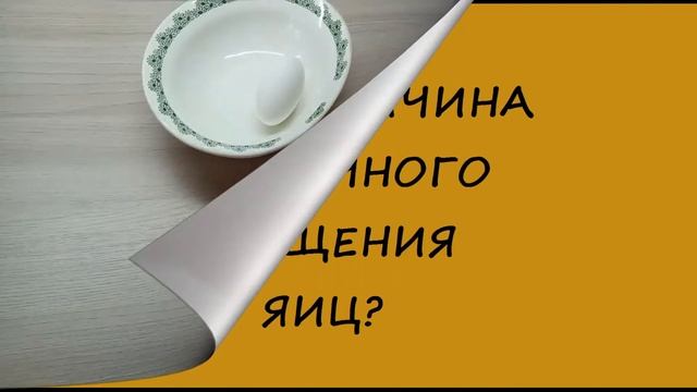 Как отличить варёное яйцо от сырого смотреть онлайн