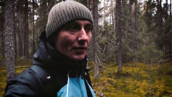 Таинственный лес / Mysterious forest