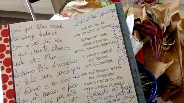 Compras de suculentas/Canal Jô Bela flor смотреть онлайн