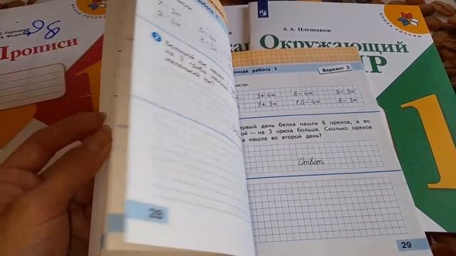 Подготовка к школе. Покупка рабочих тетрадей. Настя в школу. смотреть онлайн