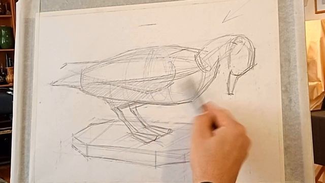 Как нарисовать утку. Уроки Академического рисунка /How to draw a duck смотреть онлайн