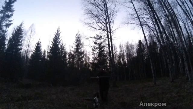 Охота на ВАЛЬДШНЕПА 2014 год (день второй) смотреть онлайн
