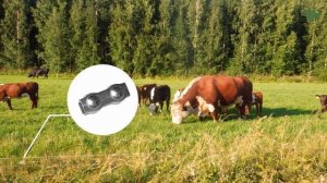 Электропастух для КРС, Коров, Лошадей. Элеток RT60, RT120. Набор электроизгороди.