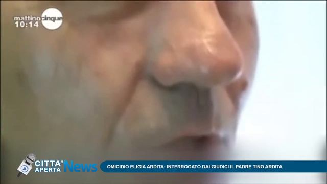 Omicidio Eligia Ardita, interrogato dai giudici il padre смотреть онлайн