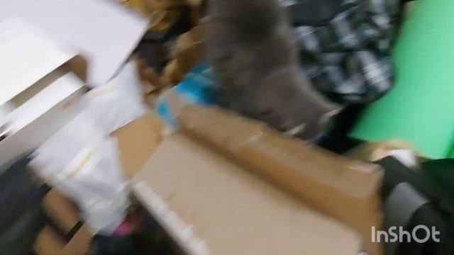 Почему у Тори залысина на спине? Прибавление накануне Нового года... #helpanimals #спасениекотят смотреть онлайн